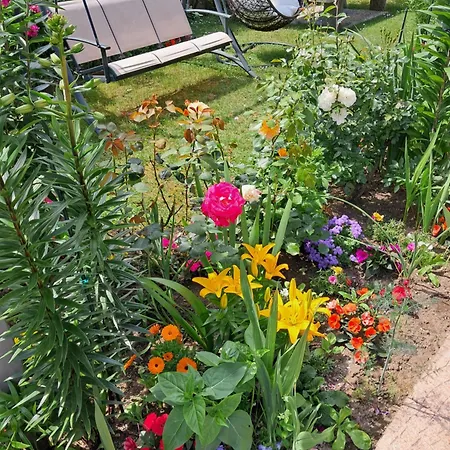 Appartement Kristina